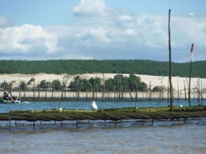 Investir dans l'immobilier sur le Bassin d'Arcachon